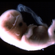 Image for article titled This awesome image may be found by aliens one day, floating in space